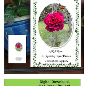 A Red Rose Pretty Pretty Cadeaubon groene rand