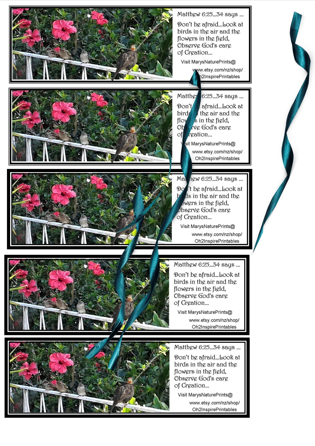 5 Birds and Pink Hibiscus Flowers Biblical Bookmarks on Creation