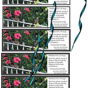 May include: A printable bookmark with a quote from Matthew 6:25-34, "Don't be afraid... Look at birds in the air and the flowers in the field, Observe God's care of Creation..." The bookmark features a photo of pink flowers and birds on a fence.