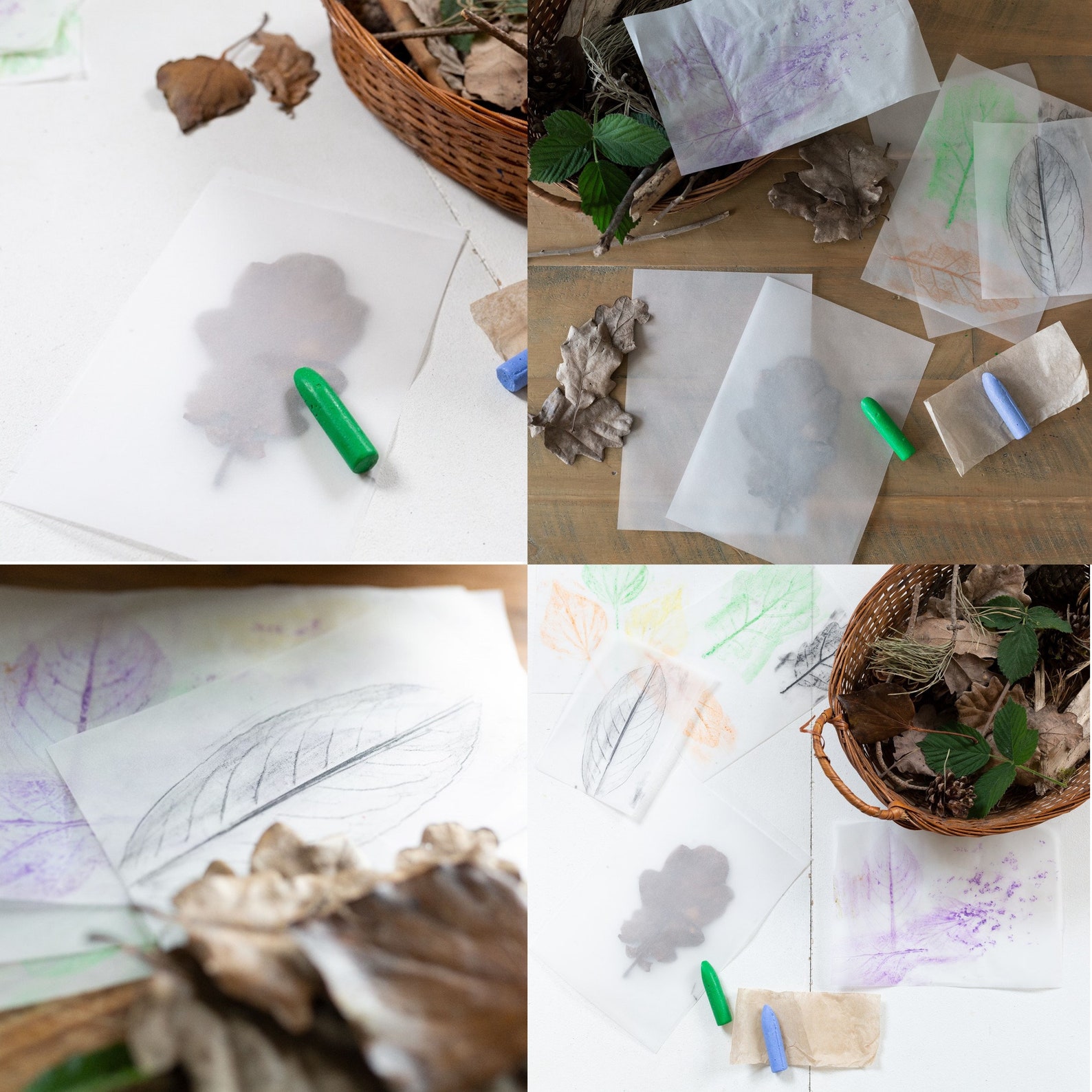 Kids Eco-Friendly Nature Activity Pack: Learning Pack for | Etsy