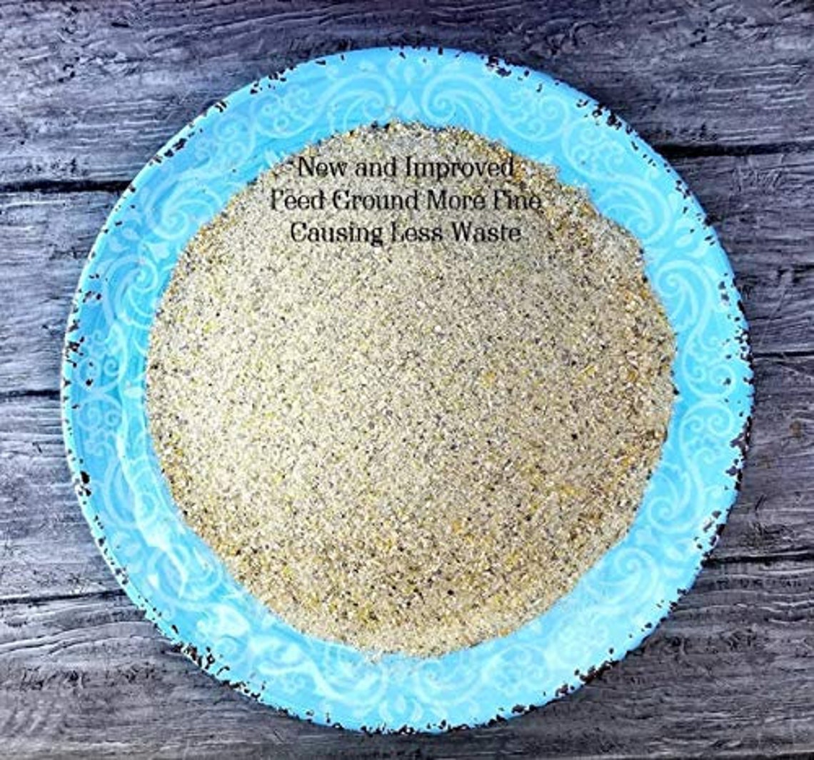 Cricket & Dubia Roach Colony Starter Kit Includes 6 Egg Etsy