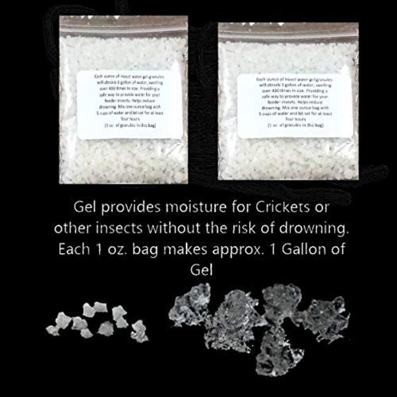 Cricket & Dubia Roach Colony Starter Kit Includes 6 Egg Etsy