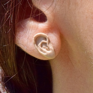 May include: A close-up of a person's ear with a small, flesh-colored earring shaped like an ear.