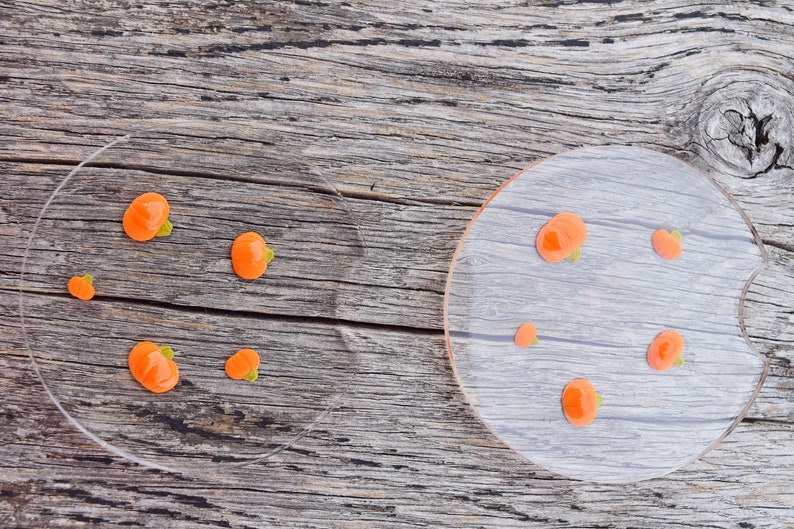 Halloween Funny Car Coasters Set of 2 Glow in the Dark Etsy