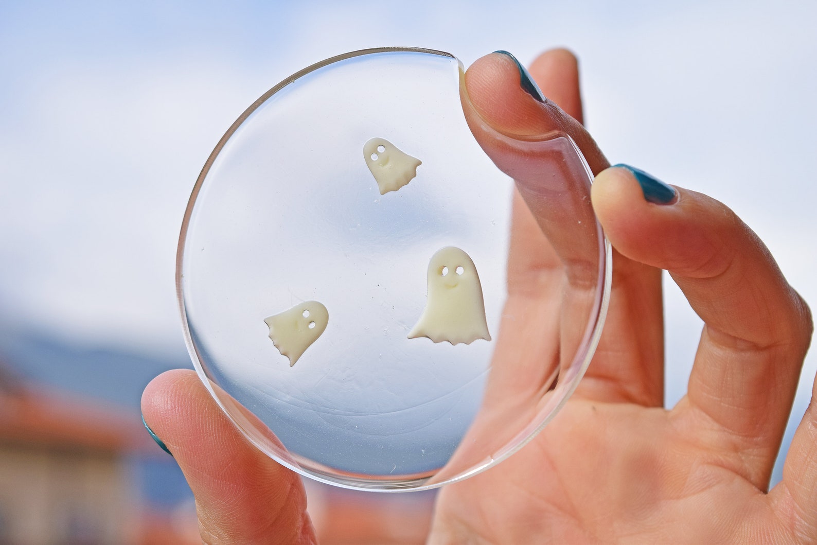 Halloween Funny Car Coasters Set of 2 Glow in the Dark Etsy