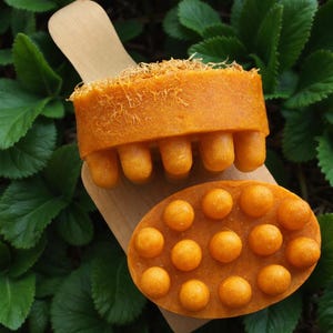 Peut inclure: Deux savons de massage orange sont présentés sur une palette en bois sur fond de feuilles vertes. Un savon est rectangulaire avec des protubérances arrondies, l'autre est ovale avec plusieurs bosses rondes. Les savons ont un aspect texturé et naturel.