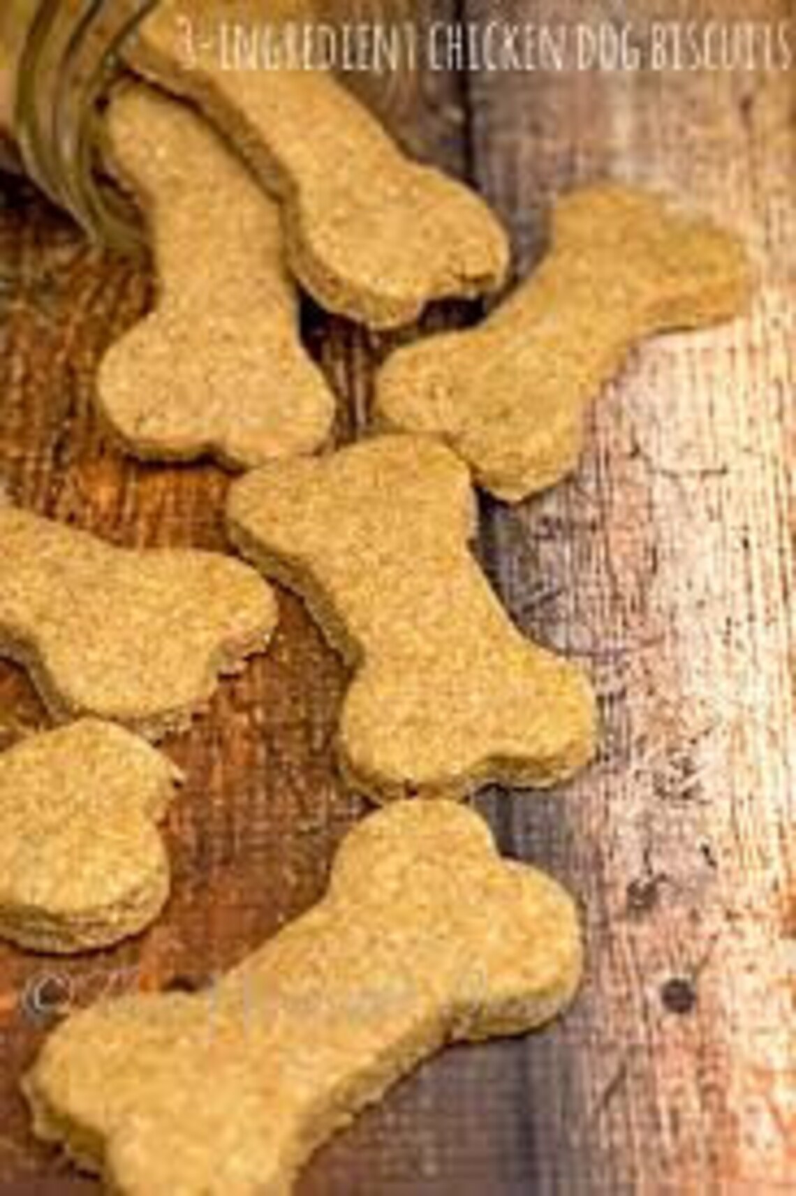 Custom dog treats / biscuits 4 recipies Etsy