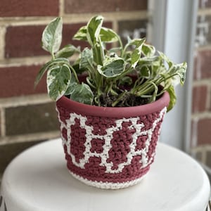 May include: A potted plant with variegated leaves in a crocheted pot with a red and white geometric pattern.