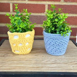 Puede incluir: Dos pequeñas plantas en maceta con follaje verde vibrante. Una maceta está envuelta en una funda de ganchillo amarilla con recortes en forma de corazón, la otra en una funda de ganchillo azul. Las macetas están sobre una superficie de madera contra una pared de ladrillo.