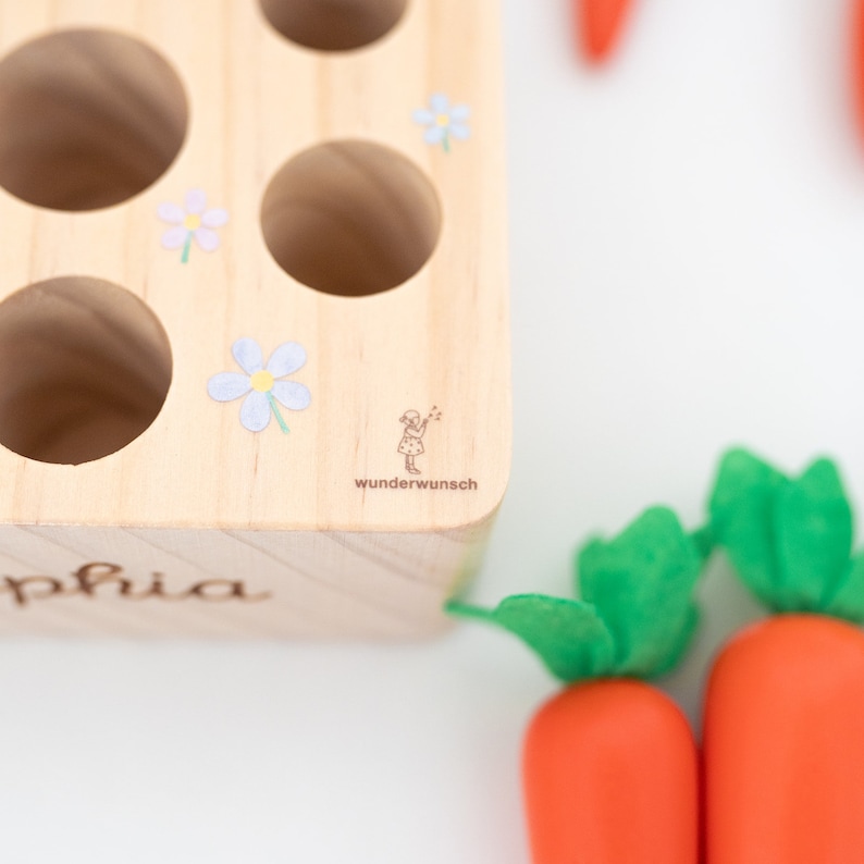 Montessori, giocattoli per le abilità motorie, regali per bambini, 1 compleanno, giocattoli in legno, gioco di smistamento, puzzle in legno, giocattoli per bambini immagine 7