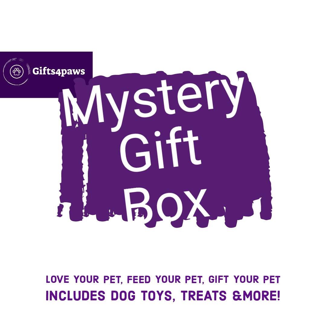 Dog Birthday Gift Box Mystery / Dog Toys & Treats / Dog Birthday /dog