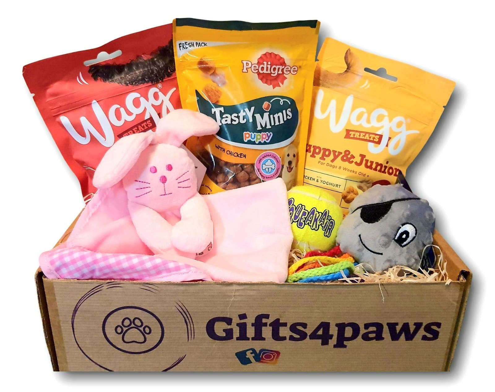 Puppy Treats Gift Box / Puppy Toys / Dog Birthday Box