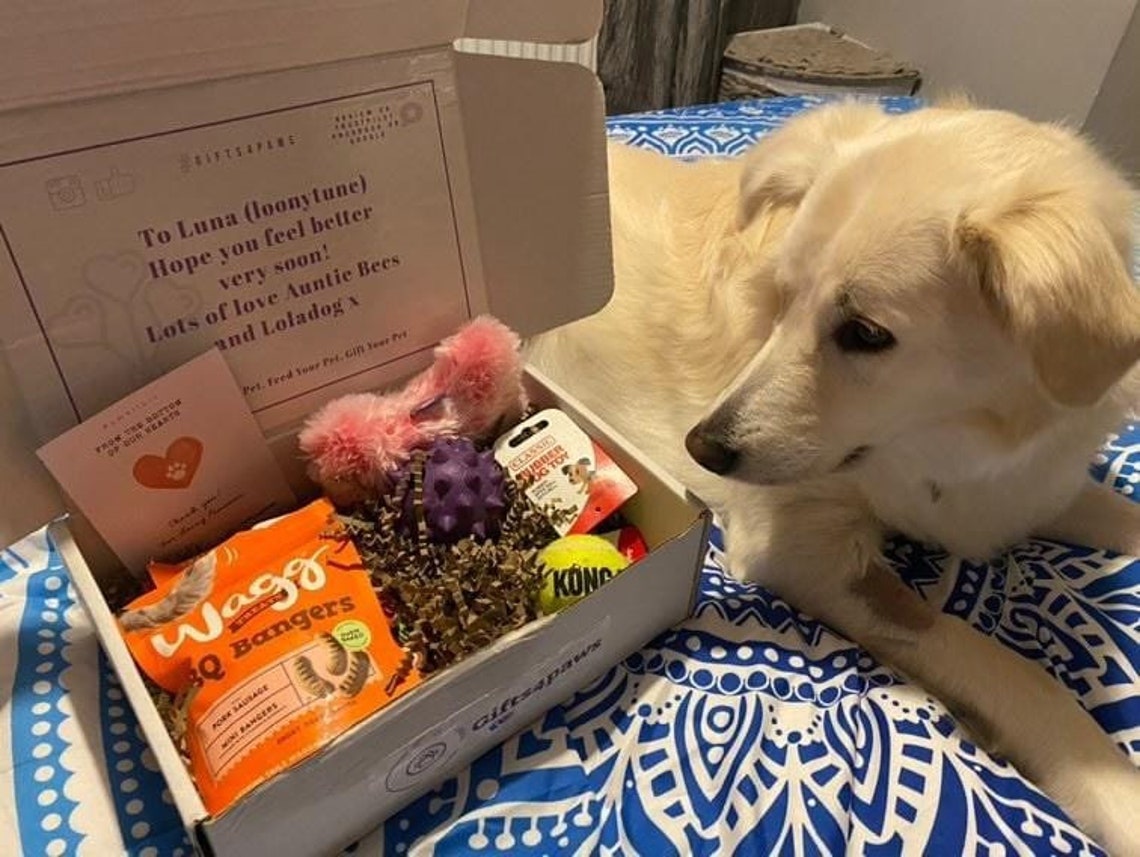Dog Toy & Treat Box / Gift Box For Dogs / Present For Dogs / Etsy