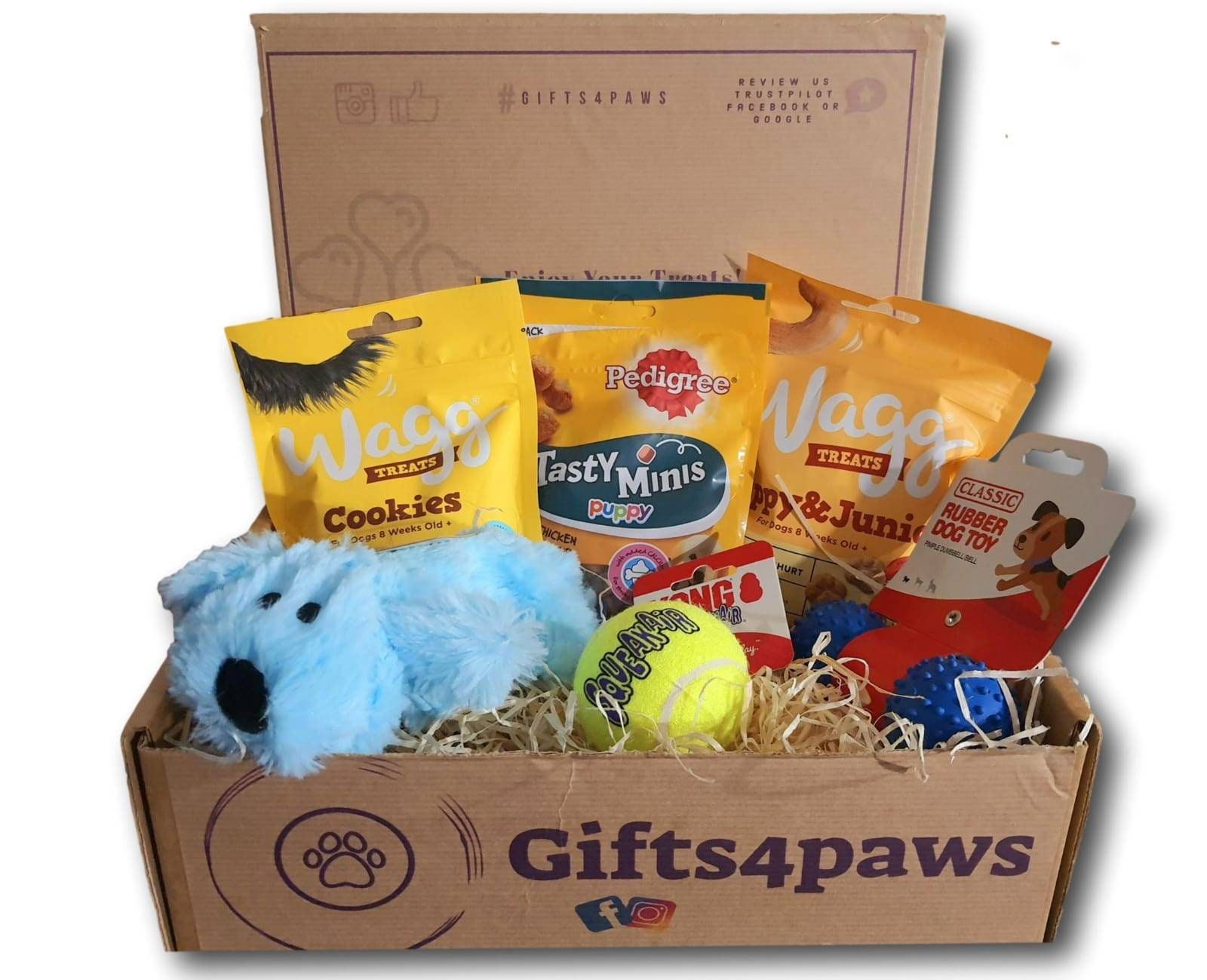 New Puppy Gift Box / Puppy Toys / Puppy Treats / Gifts for