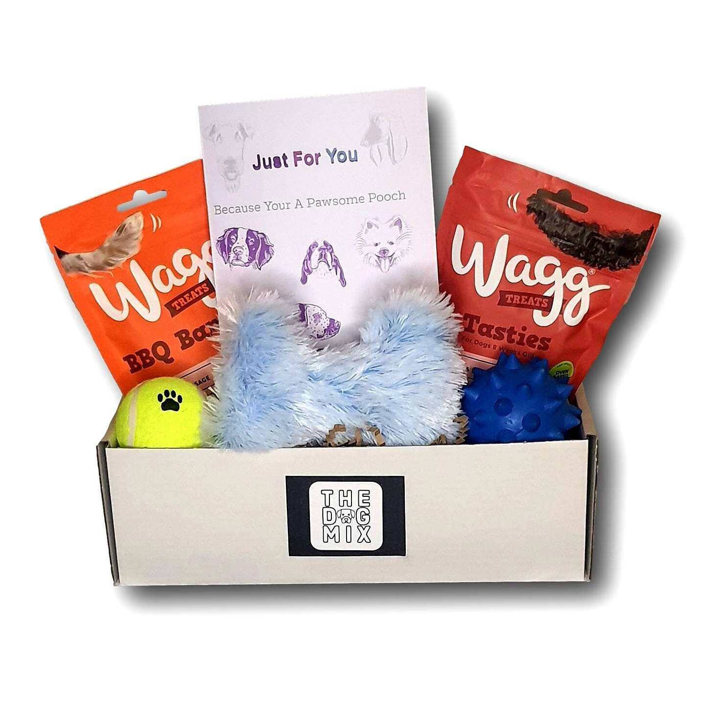 Dog Toy & Treat Box / Gift Box For Dogs / Present For Dogs / Etsy