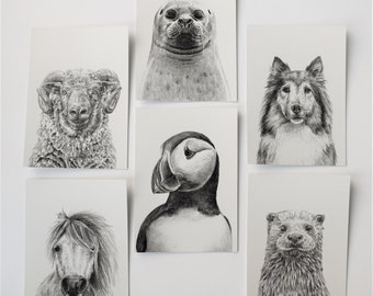 Download Otter Svg Etsy