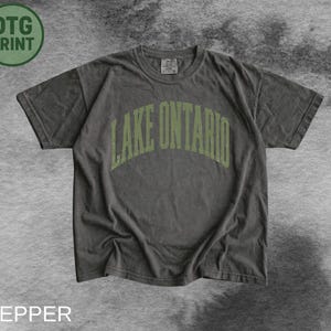 May include: A charcoal grey short-sleeve t-shirt featuring the text LAKE ONTARIO in an arched, distressed olive green font across the chest. The garment has a crew neckline and a standard fit, with a visible brand label at the inner collar.