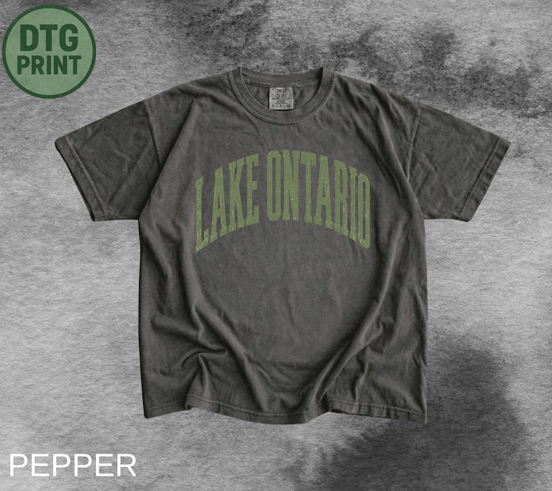 May include: A charcoal grey short-sleeve t-shirt featuring the text LAKE ONTARIO in an arched, distressed olive green font across the chest. The garment has a crew neckline and a standard fit, with a visible brand label at the inner collar.