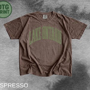 May include: A short-sleeved espresso brown t-shirt featuring the text LAKE ONTARIO printed in a distressed, arched, sage green font across the chest. The garment has a crew neckline and a standard fit, showcasing a vintage-inspired aesthetic.