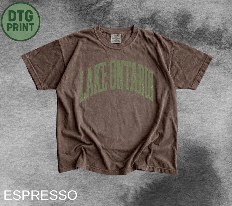 May include: A short-sleeved espresso brown t-shirt featuring the text LAKE ONTARIO printed in a distressed, arched, sage green font across the chest. The garment has a crew neckline and a standard fit, showcasing a vintage-inspired aesthetic.