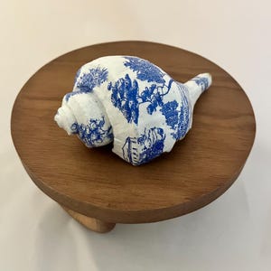 Perfectly Imperfect Sea Shell  -  TOILE | Shell Art  | Shell Decor | Whelk Shell | Decoupage
