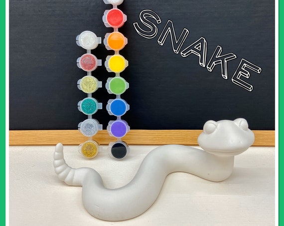 Snake Acrylic Painting Kit