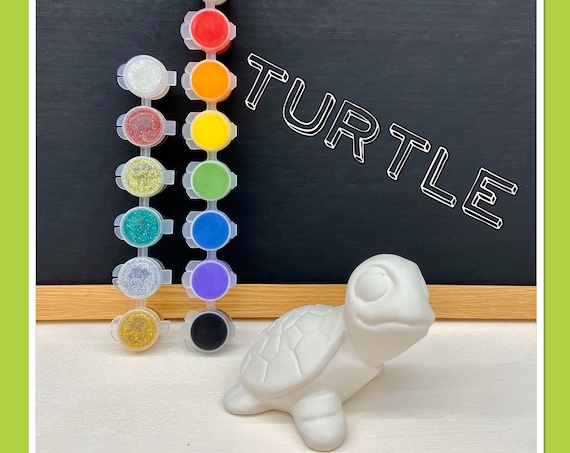 Turtle Acrylic Painting Kit