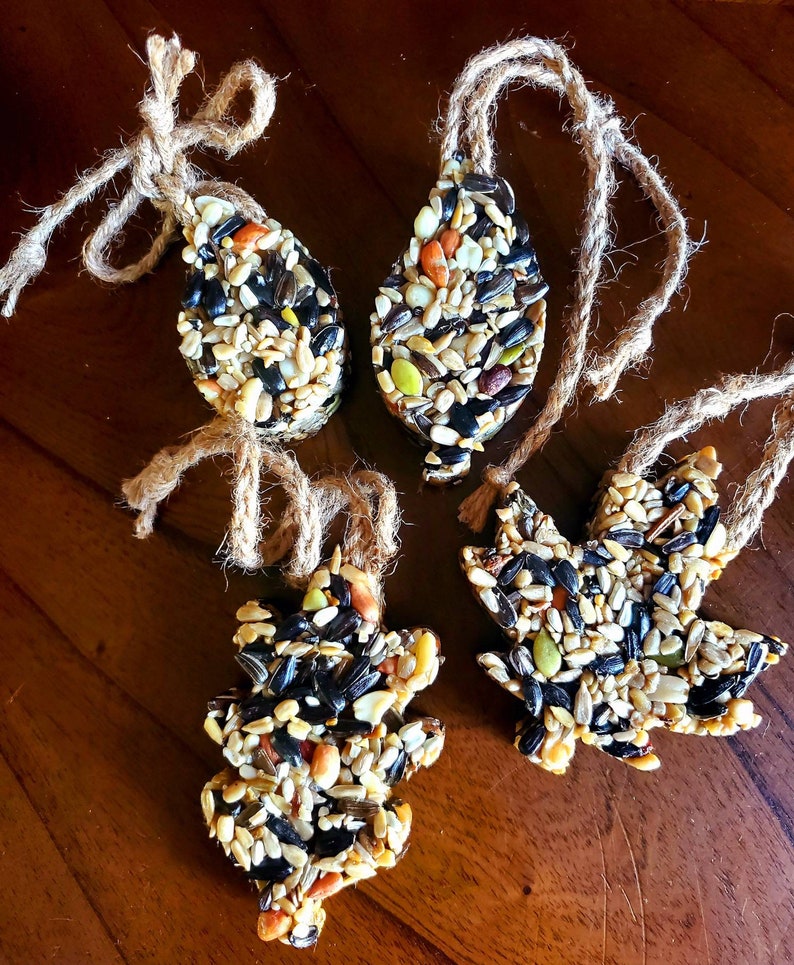 Bird Seed Cookies 4 total Etsy