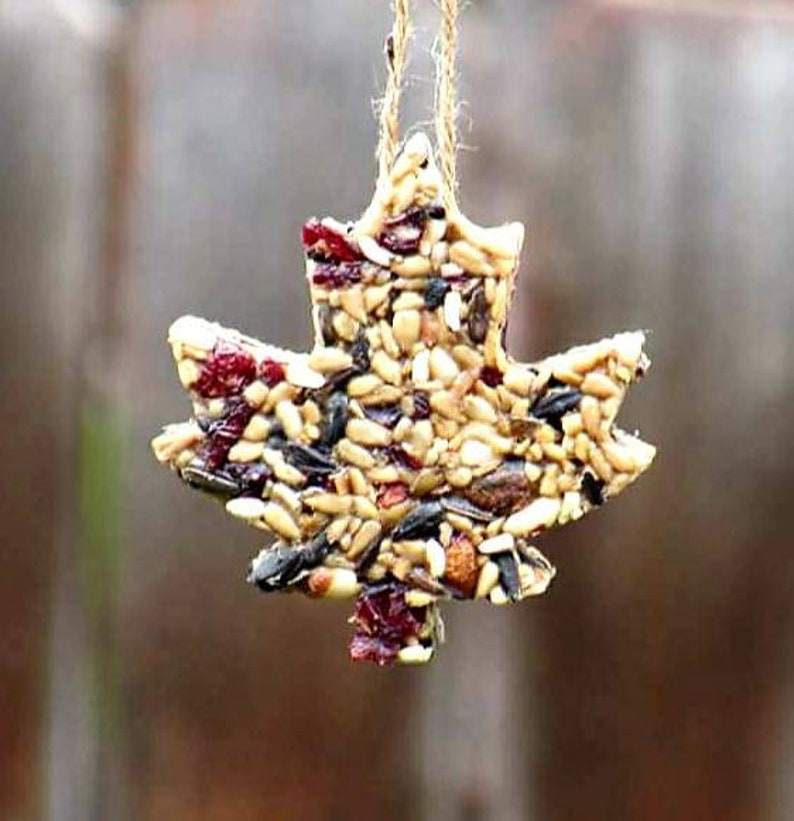 Bird Seed Cookies 4 total Etsy