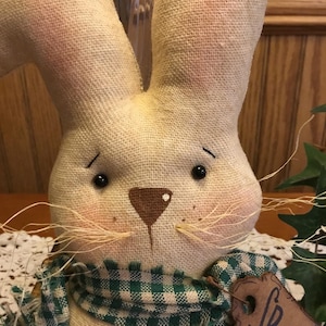 May include: A white fabric bunny wearing a green and white checkered scarf with a brown nose and black eyes. The bunny has a tag that says "Spring".