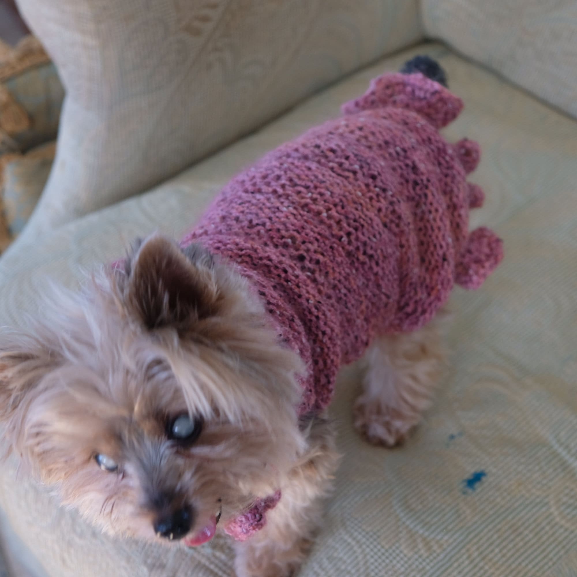 HandKnit Pink Sparkle Dog Sweater Small Etsy