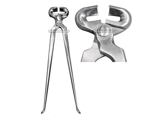 Zoccolo Del Cavallo E Del Ferro Di Cavallo Dopo La Calzatura Nella Stalla Image74501073 - Foto 13