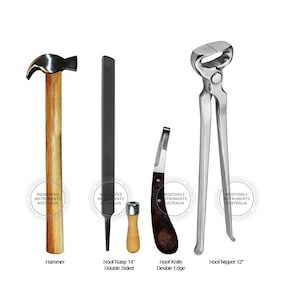 Conjunto de aparamento de casco Farrier, kit de aparamento, pinças, grosa, martelo, faca de casco, Premium