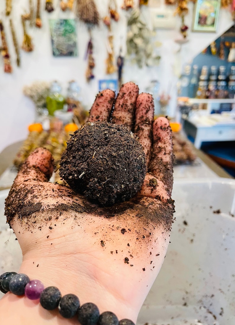 Bestuiverszaden Botanische bijenbommen Wilde bloemenzaden Biologische bloemen en kruidenzaden Honingbijentuin Dag van de aarde Bloemzaadbommen afbeelding 10