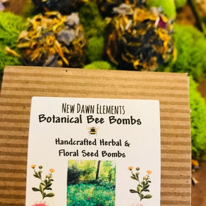 Pollinator Seeds Botanical Bee Bombs Wildflower Seeds Organic Floral & Herbal Seeds Honey Bee Garden Earth Day Flower Seed Bombs image 6