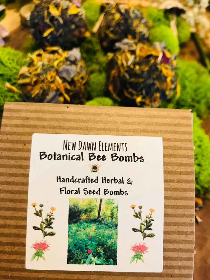 Pollinator Seeds Botanical Bee Bombs Wildflower Seeds Organic Floral & Herbal Seeds Honey Bee Garden Earth Day Flower Seed Bombs image 6