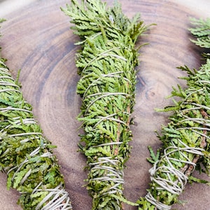 Cedar Smudge Stick/Natural Incense/Smoke Cleansing/Organic Wild Foraged Cedar/Sage Alternative/Energy Cleansing/Meditation Tools/Cedar Stick