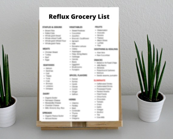 acid reflux gerd lpr heartburn and gastritis diet grocery etsy