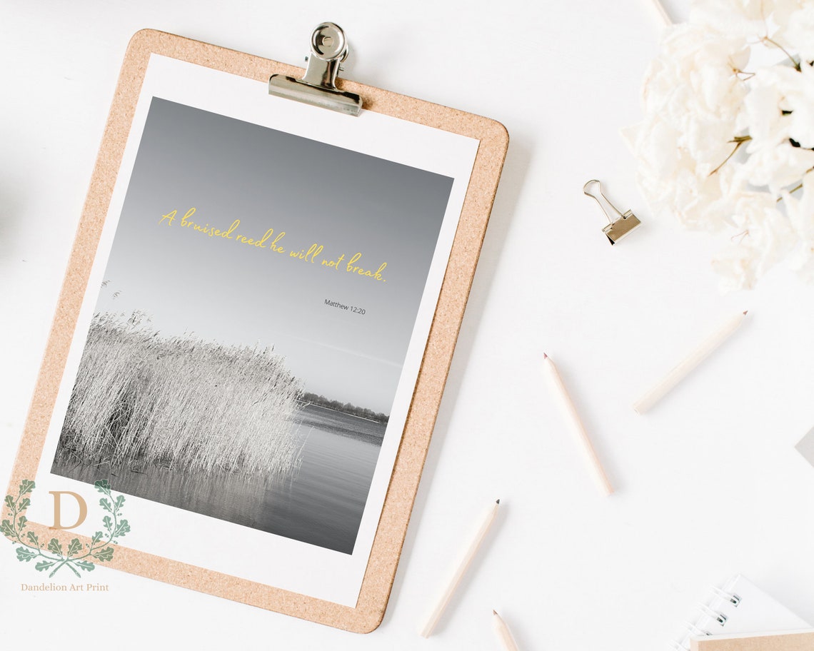 A Bruised Reed He Will Not Break matthew 12:20 Bible Verse - Etsy Hong Kong