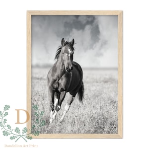 Framed Wall Art, Running Horse Photo, Wall Decor, Modern Print