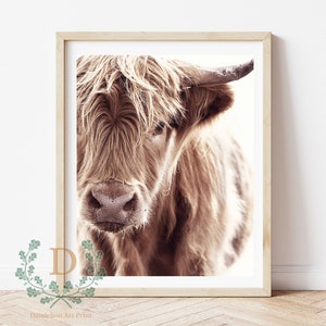 Highland Cow Photo Wall Art, Wall Decor, Minimal Print, Modern Print, Instant Download.