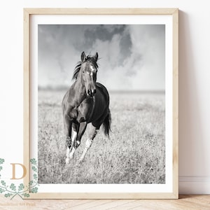 Running Horse Photo Wall Art, Wall Decor, Minimal Print, Modern Print, Instant Download.