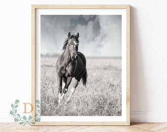 Running Horse Photo Wall Art, Wall Decor, Minimal Print, Modern Print, Instant Download.