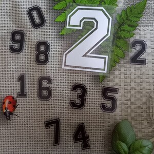 Numero sportivo,etichetta termoadesiva maglietta fai da te,idea regalo personalizzato,termoadesivo per tessuti