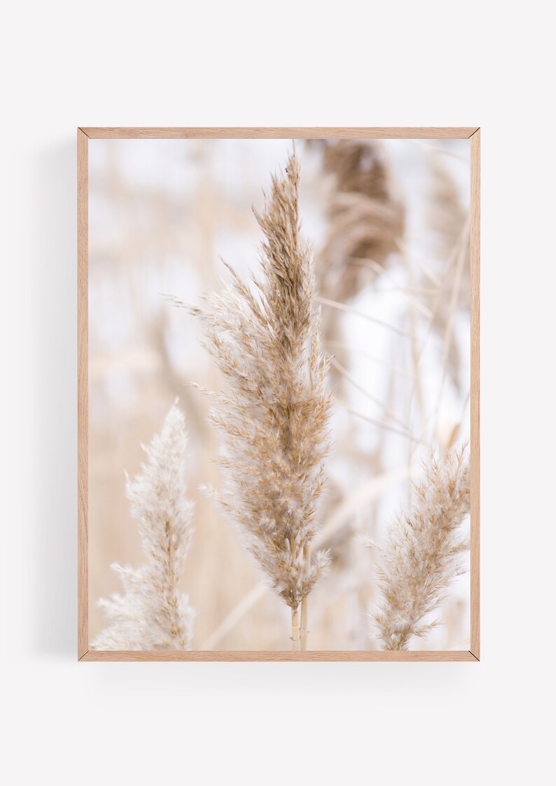 Natural Print Set Set Nature Prints Home Decor Wall Decor Etsy UK