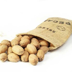 May include: A burlap sack labeled "Select Pecan" with a large amount of pecan nuts spilling out of the top.