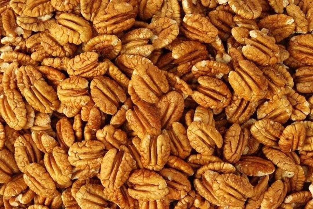Buy Fresh Pecan Halves for Sale Etsy