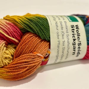 Rainbow Yarn - Plant Dyed Wool and Silk Yarn by Filges