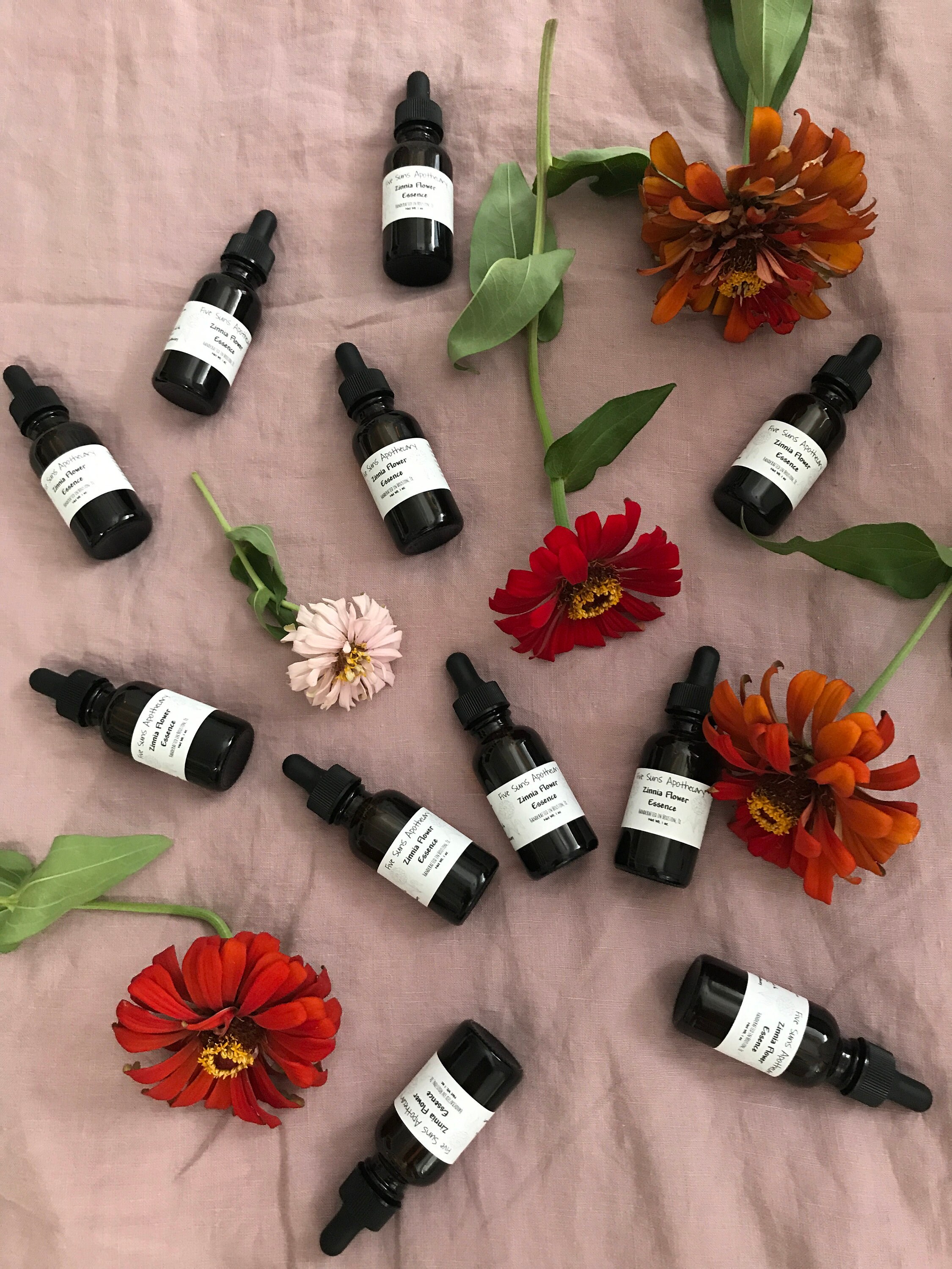 Zinnia Flower EssenceEnergetic Flower Etsy