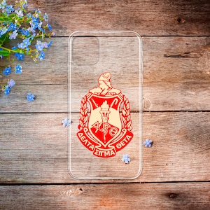 iPhone 15 cover with delta sigma theta logo phone case iPhone 13 12 11 case S21 S20 case iPhone 14 case iPhone 11 pro case